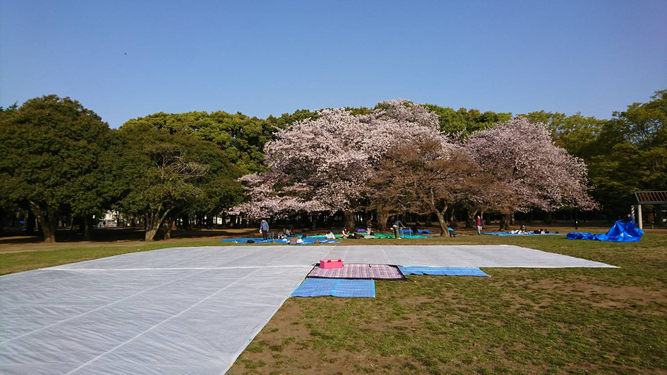 ホワイトシート設置風景