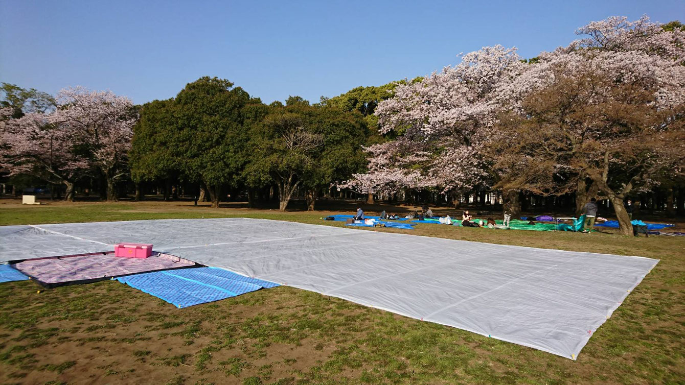 ホワイトシート設置風景