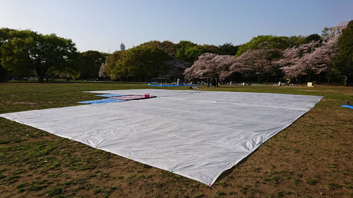 ホワイトシート設置風景