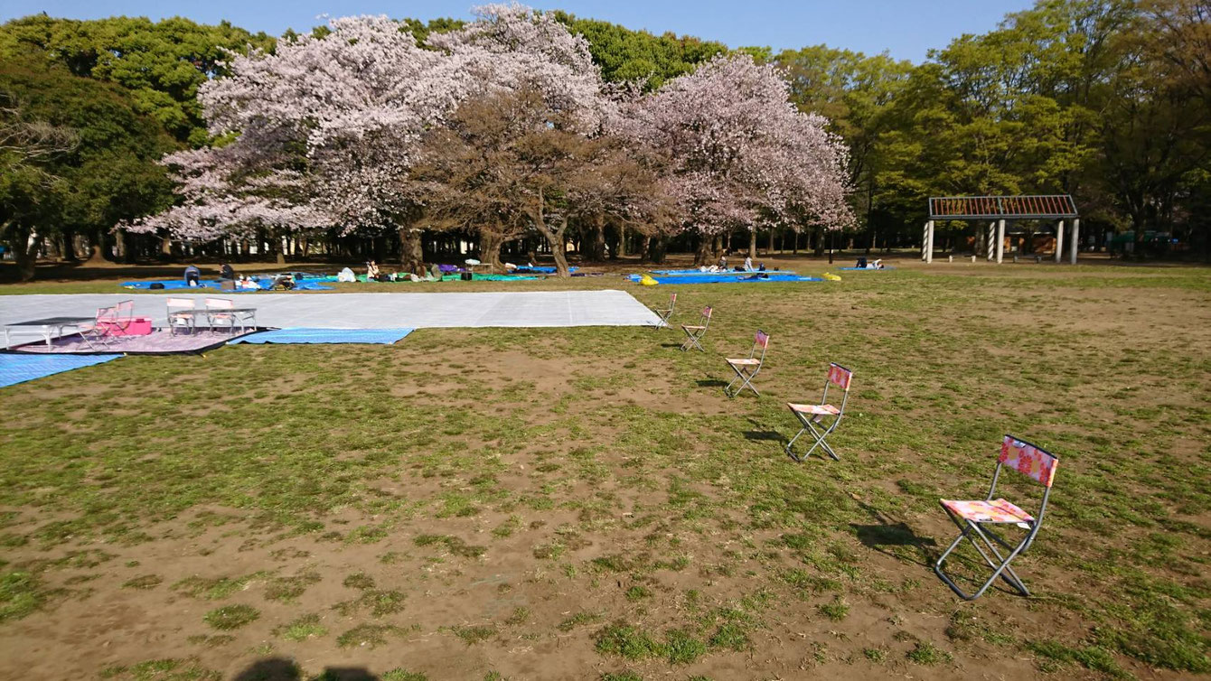 ホワイトシート設置風景